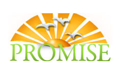 Promise in Brevard Logo